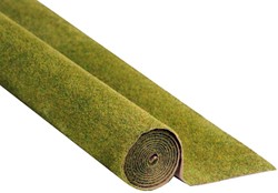 Noch 00013  - Gras mat weide