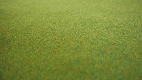 Noch 00020  - Gras mat voorjaarsweide
