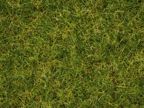 Noch 07072  - Gras Zomerweide voor Gras-Master