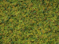 Noch 07073  - Gras Koeienweide voor Gras-Master