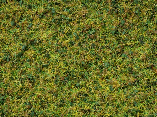Noch 07073  - Gras Koeienweide voor Gras-Master