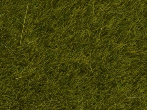 Noch 07090  - Gras wild, weide