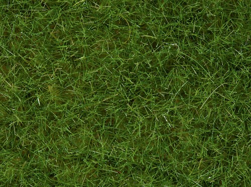Noch 07092  - Gras wild, groen