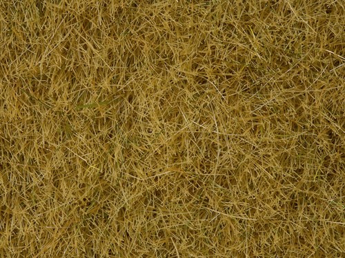 Noch 07101  - Gras wild, beige