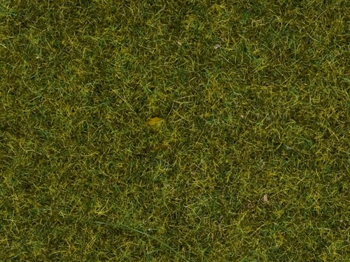 Noch 07117  - Gras wild, weide