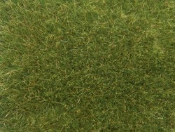 Noch 07118  - Gras wild, groen
