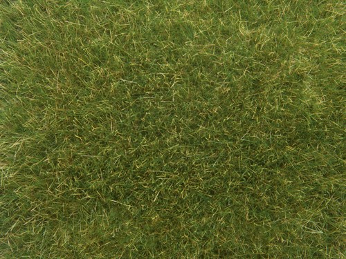 Noch 07118  - Gras wild, groen