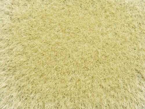 Noch 07119  - Gras wild, goudgeel