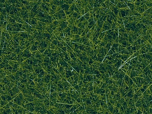 Noch 07120  - Gras wild, donkergroen