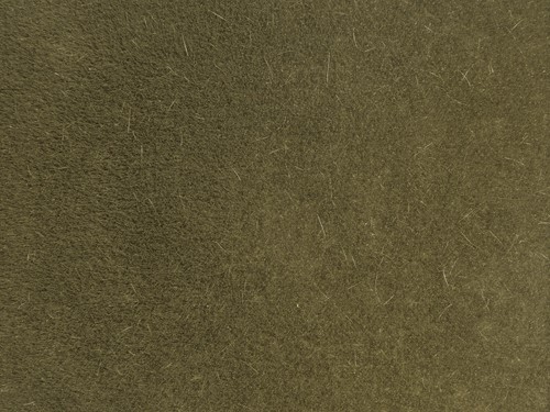 Noch 07122  - Gras wild, bruin