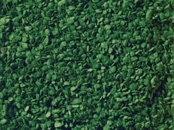 Noch 07144  - Loof, groen