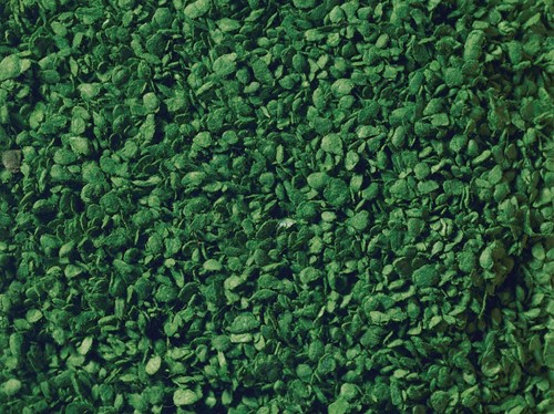 Noch 07144  - Loof, groen