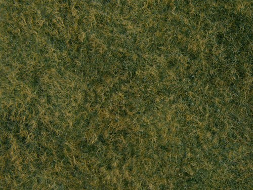 Noch 07280  - Gras mat wild, lichtgroen