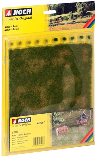 Noch 07403  - Weide mat Natur+, zomer