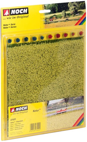 Noch 07420 -  Natur+ Koolzaadveld
