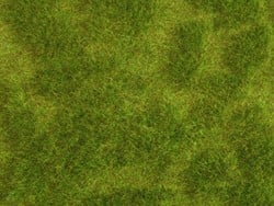 Noch 07470  - Gras mat wild Natur+