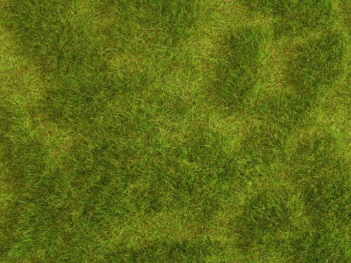Noch 07470  - Gras mat wild Natur+
