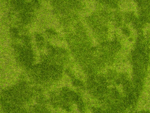 Noch 07471  - Gras mat riet Natur+