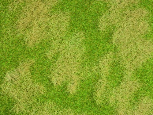 Noch 07472  - Gras mat natuurlijke weide Natur+