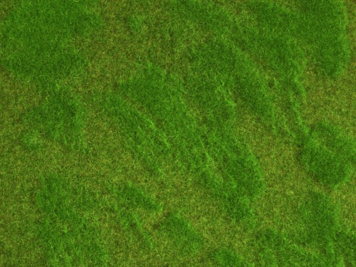 Noch 07473  - Gras mat heide Natur+