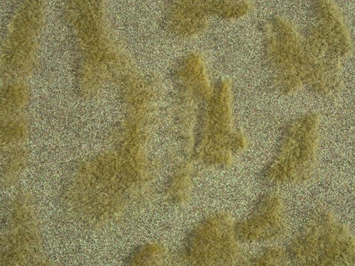 Noch 07474  - Gras mat steppe Natur+