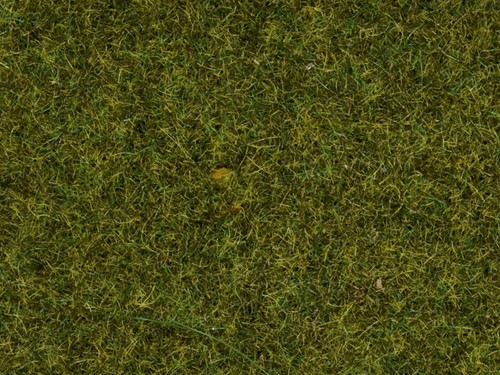 Noch 08312  - Strooigras weide