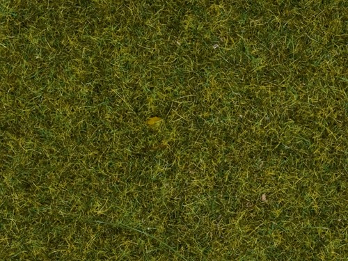 Noch 08361  - Strooigras, weide