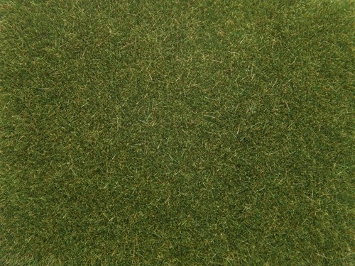 Noch 08364  - Strooigras, groen