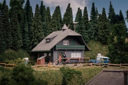 Faller 130010 H0 - Zwarte Woud Huis Jubileummodel 80jaar Faller