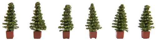 Noch 14021 H0 - Thuja 6st