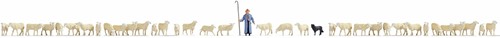 Noch 16162 H0 - XL Set “Schapen en Herder”