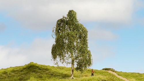 Noch 20120  - Zilverberk