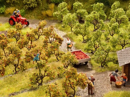 Noch 21532  - Appelboom, boomgaard