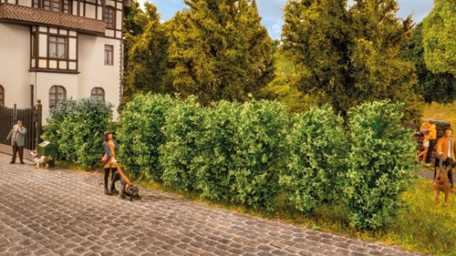 Noch 21547 H0 TT N - Thuja haag