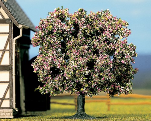 Noch 21570  - Fruitboom, bloeiend