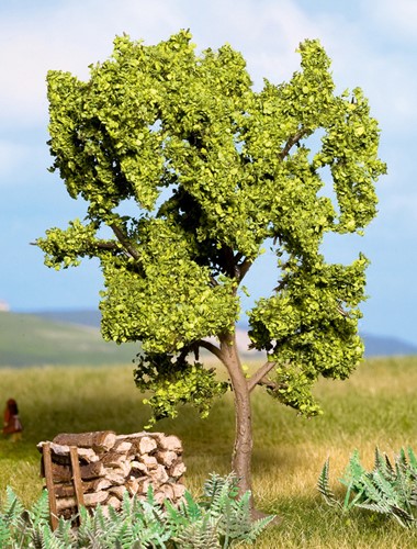 Noch 21600  - Perenboom