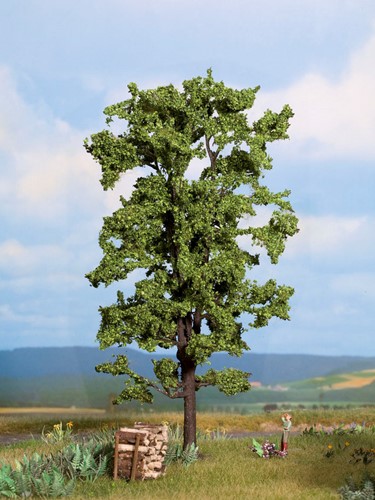 Noch 21780  - Lindeboom