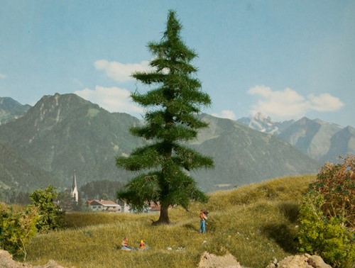 Noch 21812  - Spar, Nordmann