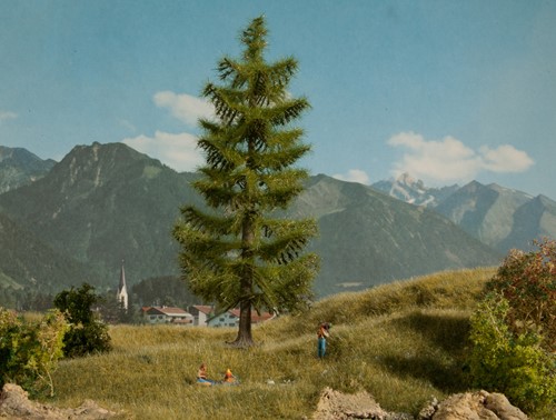 Noch 21817  - Spar