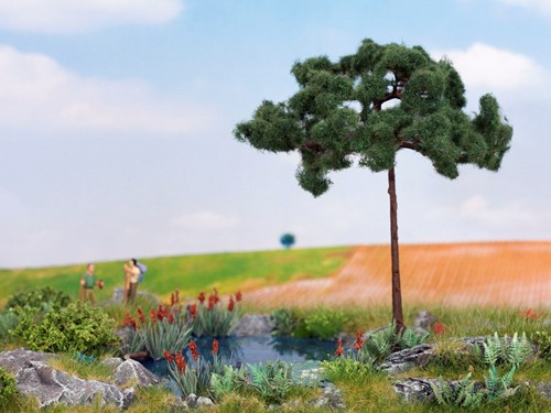 Noch 21997 -  Pijnboom 11.5cm hoog
