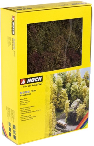 Noch 23100  - Natuurbomen
