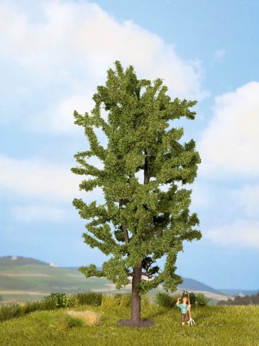 Noch 25880  - Lindeboom