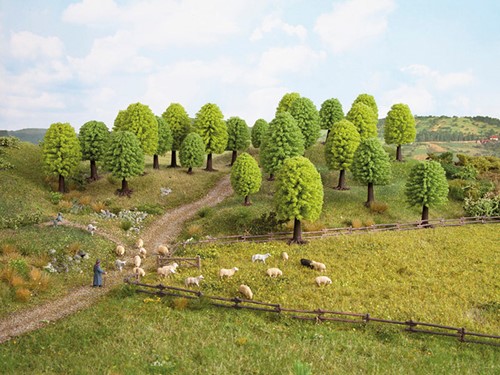 Noch 32901  - Loofbomen