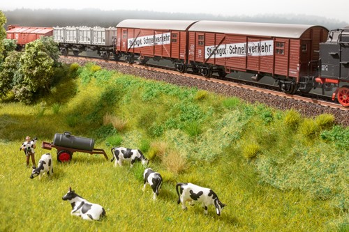 Noch 60775 -  Vegetatie Startset Spoordijk