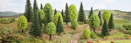 Bring your landscape to life with the NOCH tree range – newly arrived!