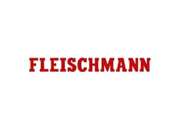 Fleischmann Rails