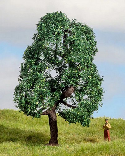 Noch 20111  - Eiken boom (Master-Bäume 10 cm hoog)