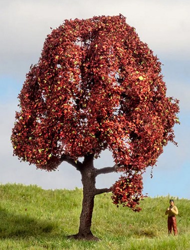 Noch 20151  - Beuken boom (Master-Bäume 10 cm hoog)